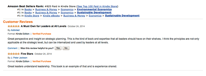 Level Five Associates first book becomes an Amazon best seller